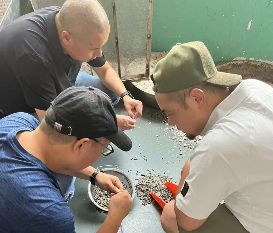 電磁炒貨設(shè)備