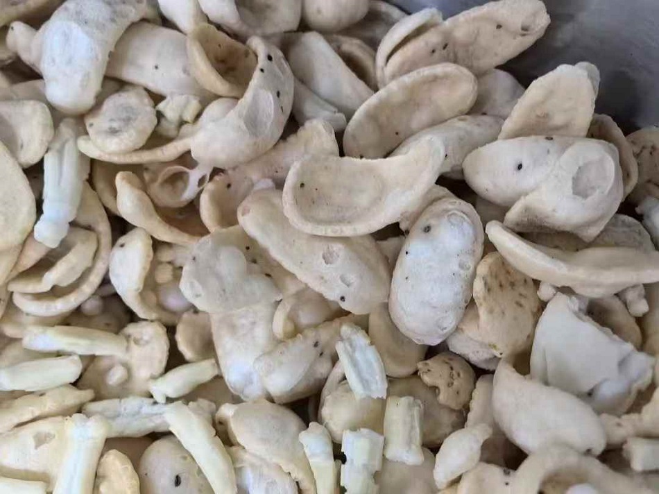 許昌智工炒貨機(jī)