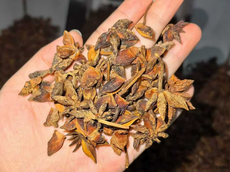 許昌智工電磁炒貨機(jī)